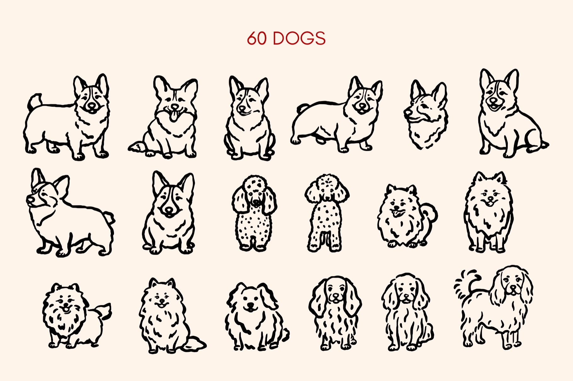 Dogs creative - 2.jpeg