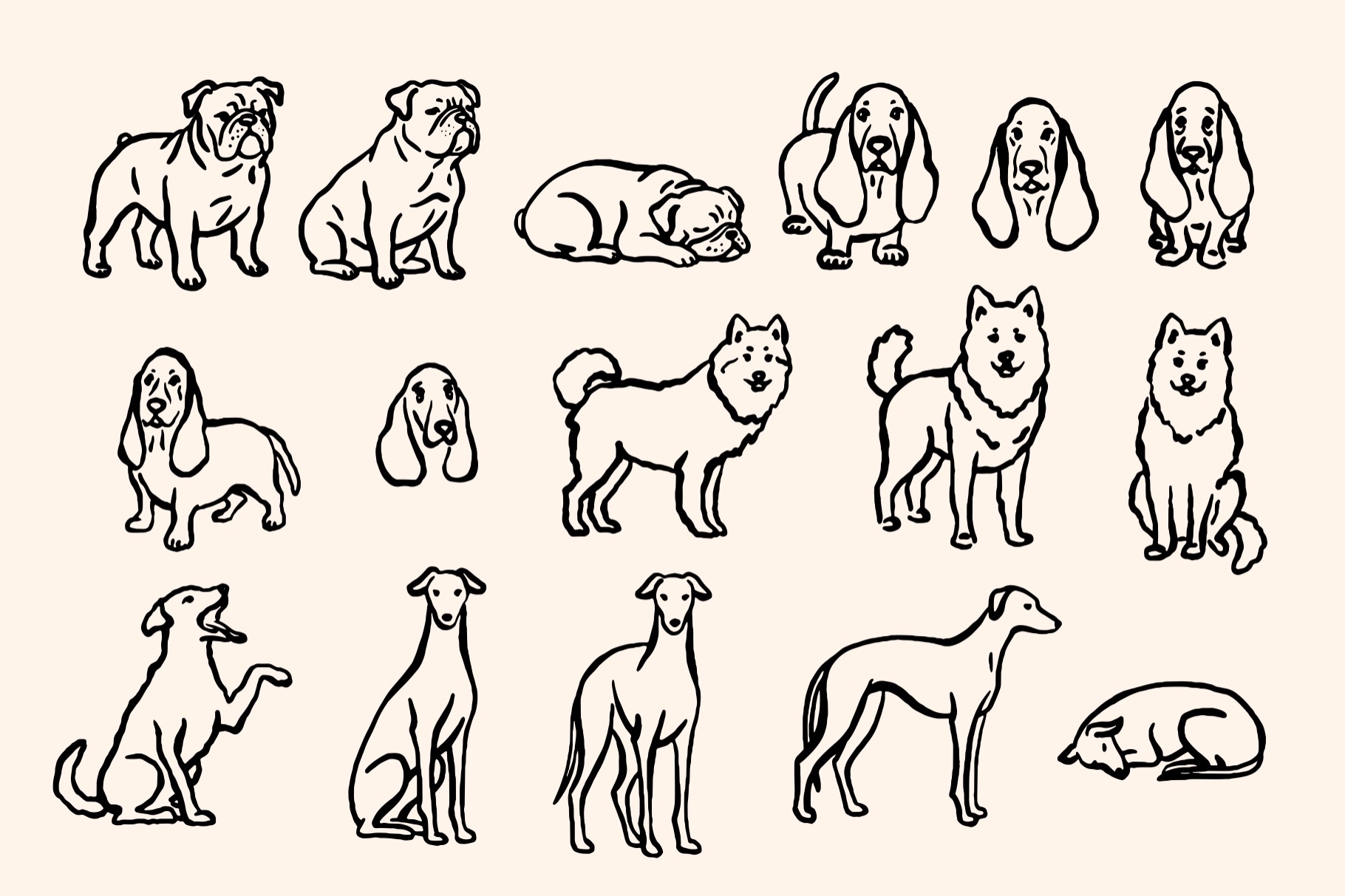 Dogs creative - 4.jpeg