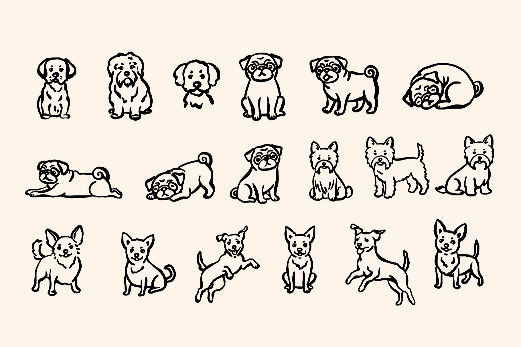 Dogs creative - 3.jpeg