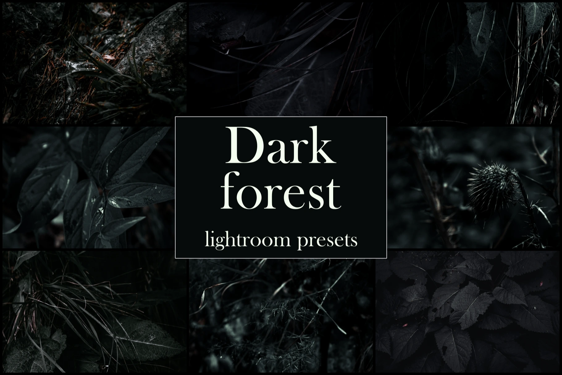 Professional Lightroom Presets Pack: Dark Forest