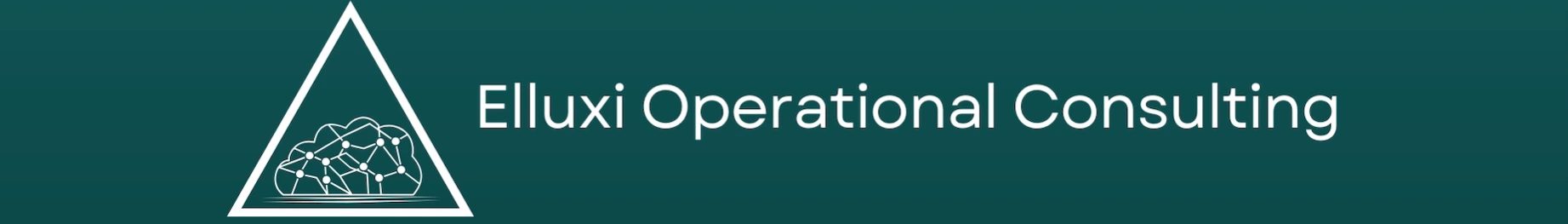 Elluxi Operational Consulting