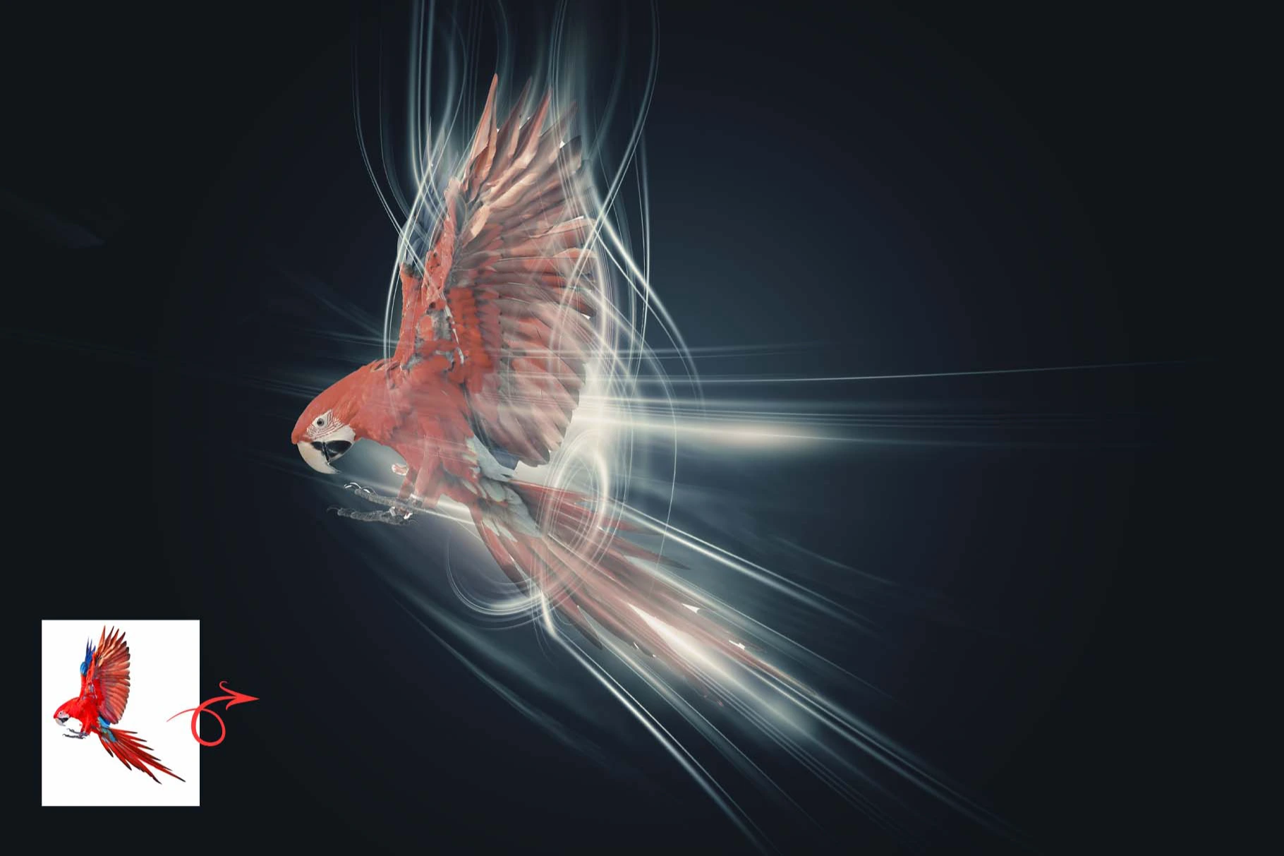 Artistic Line Fusion Photoshop Action 11.jpg