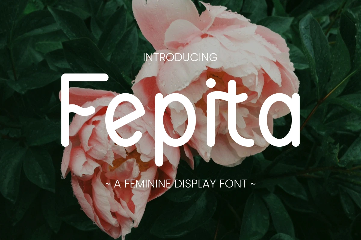 01-fepita-feminine-display-font-preview.jpg
