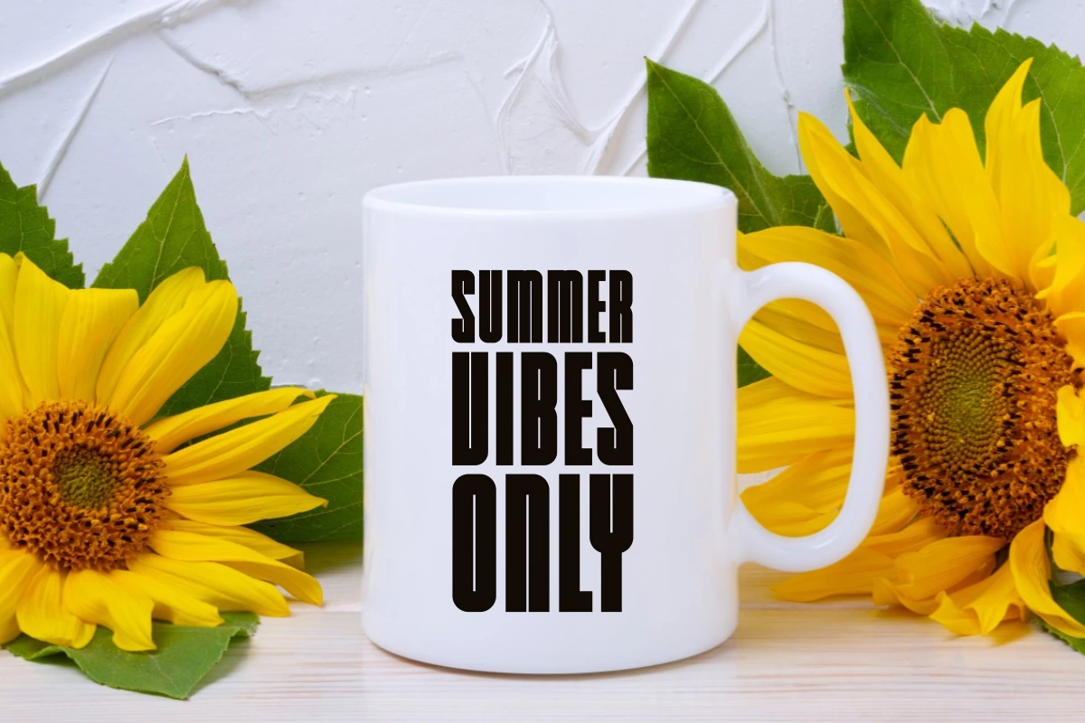 07-summer-dragonfly-font-mug-mockup.jpg