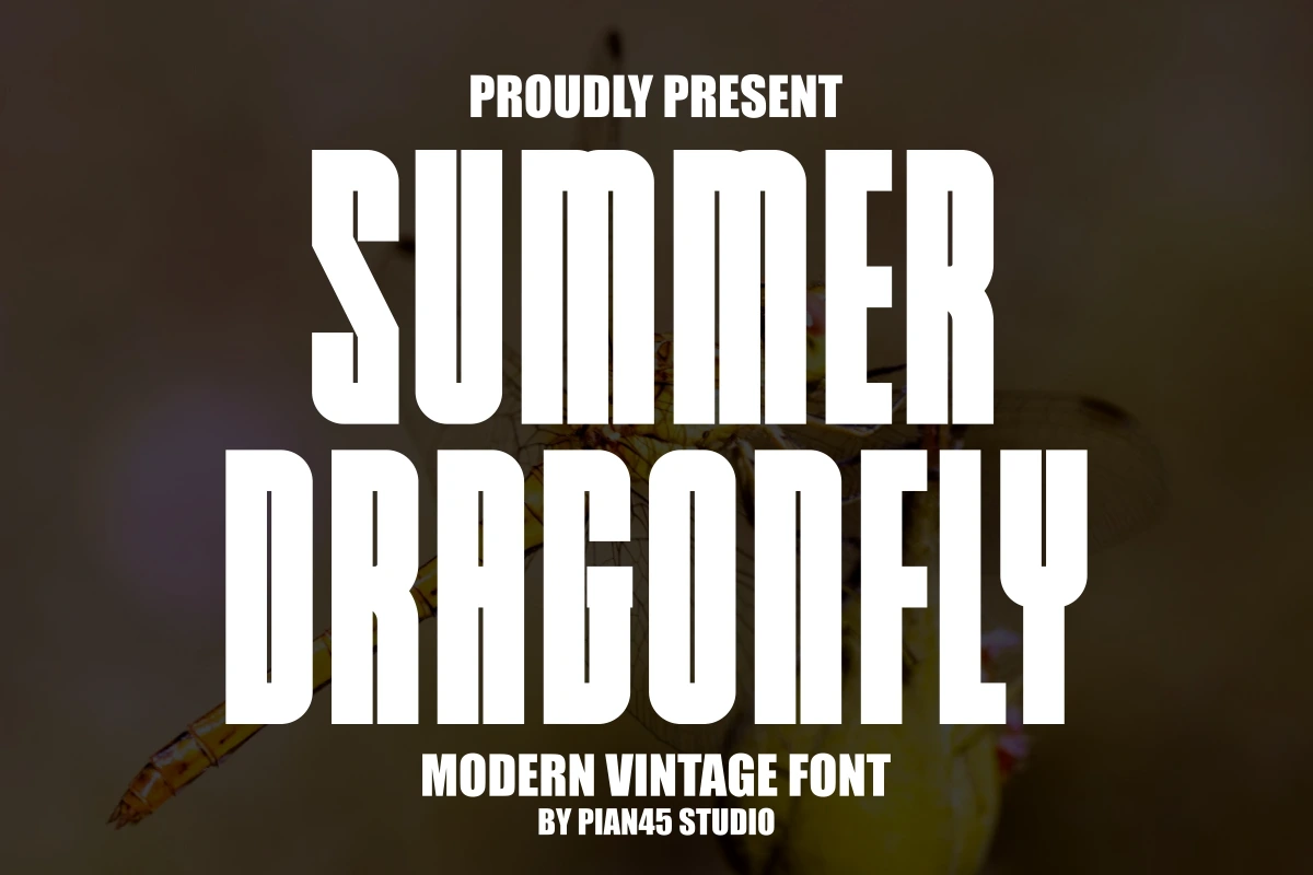 01-summer-dragonfly-modern-vintage-font.jpg